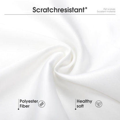 【うちの子が、街の主役に】名前や写真で作る、オリジナルペットバンダナ