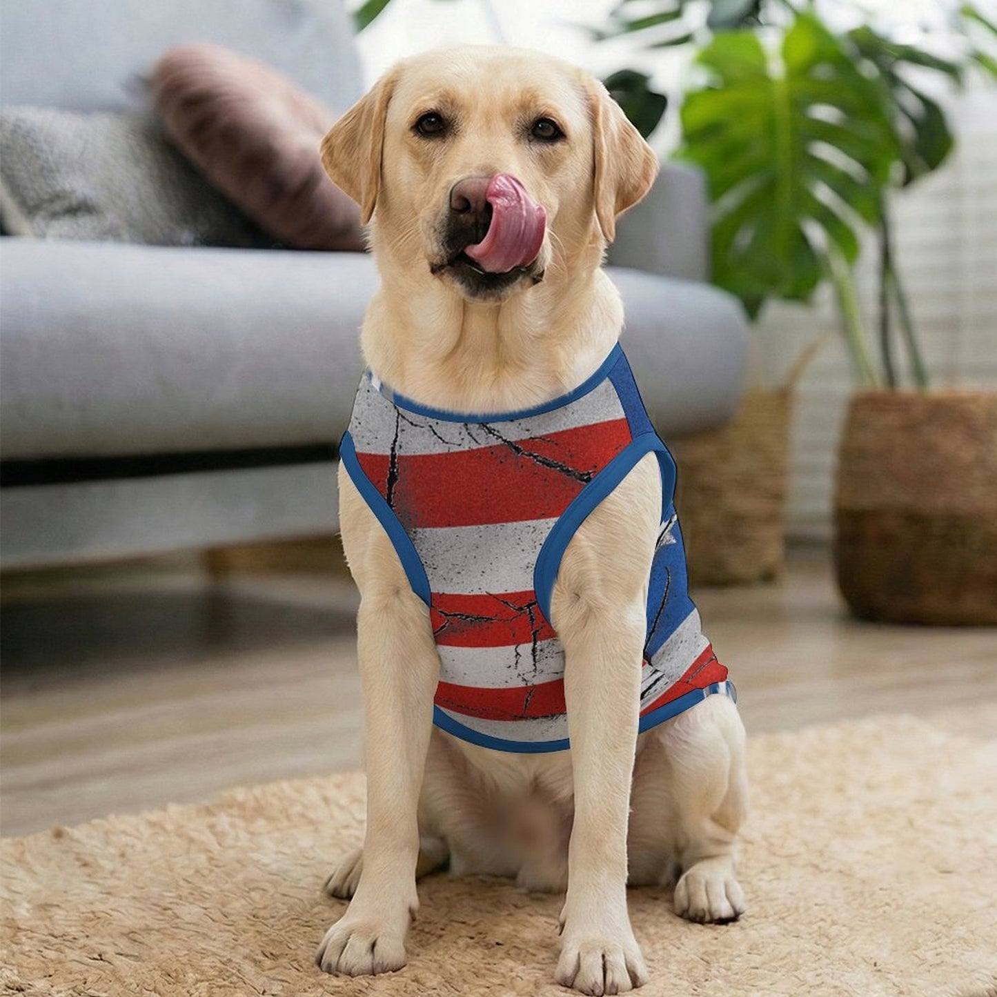 【名入れ対応】中・大型犬用 接触冷感タンクトップ｜夏の抜け毛・汚れ対策ドッグウェア
