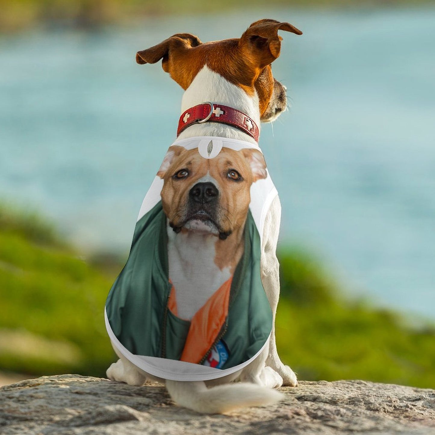 「うちの子が宇宙一カワイイ」飼い主さんへ｜写真で作るオリジナルペット服