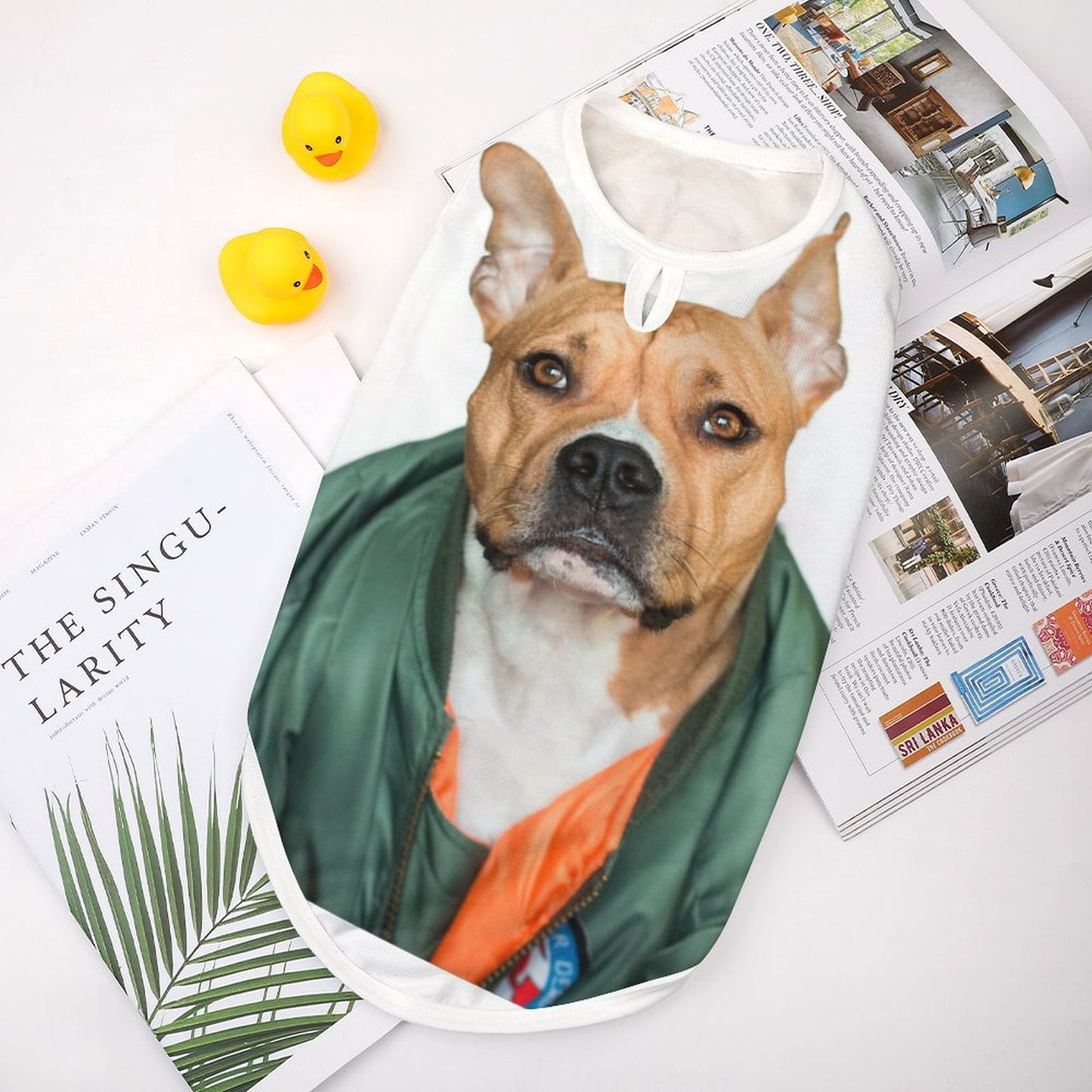 「うちの子が宇宙一カワイイ」飼い主さんへ｜写真で作るオリジナルペット服