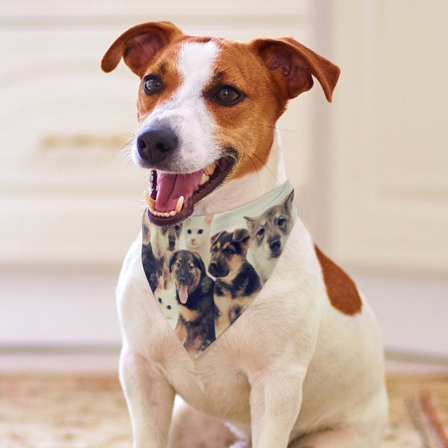 【服が苦手な子に】オリジナル ペット バンダナ 犬猫用 スタイ 名入れ